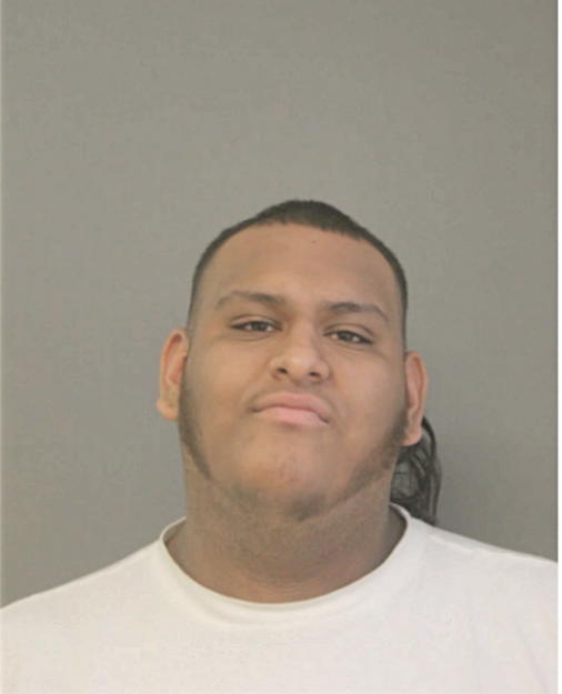SERGIO A HERNANDEZ, Cook County, Illinois