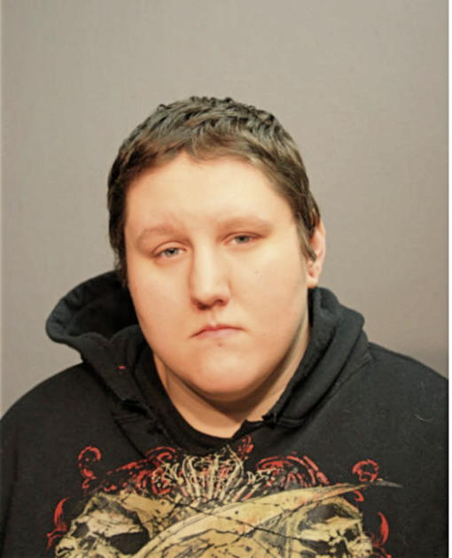 APRIL J HOLSTEIN, Cook County, Illinois