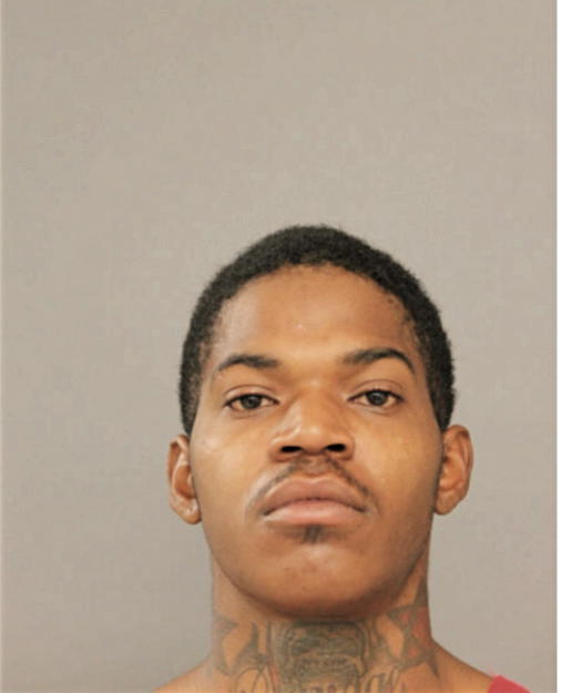 DARRELL A JOHNSON, Cook County, Illinois