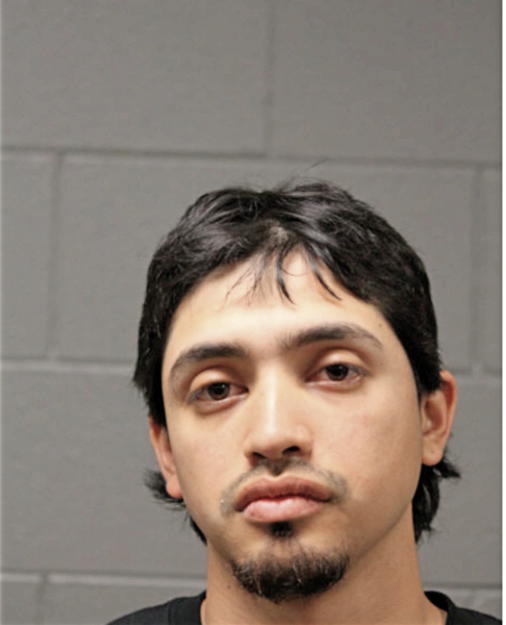 DAVID GARCIA JR., Cook County, Illinois