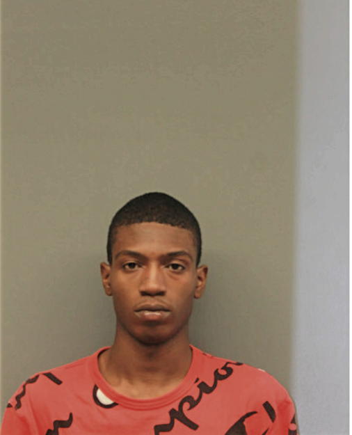DEMONTE P LEWIS, Cook County, Illinois