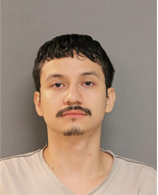 LUIS MARTINEZ, Cook County, Illinois