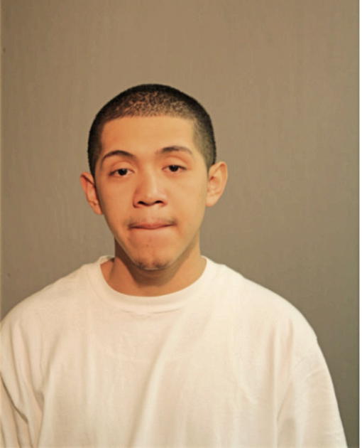 MICHAEL A MARTINEZ, Cook County, Illinois