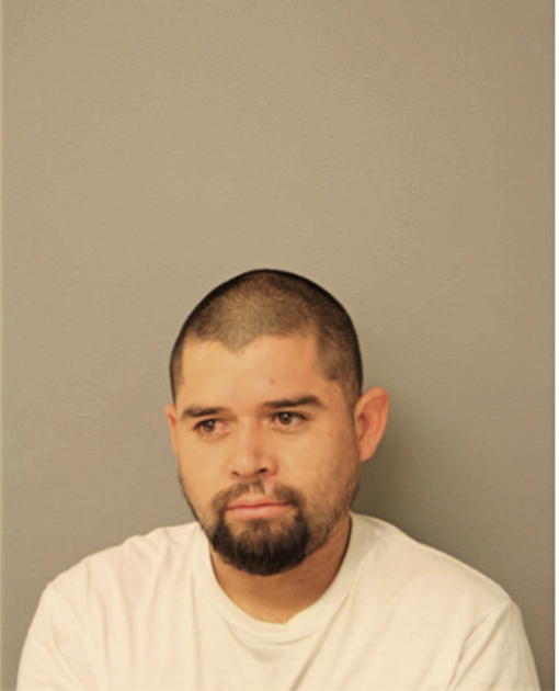ROBERTO MARTINEZ, Cook County, Illinois