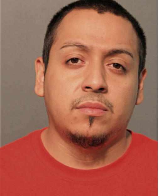 JOE A MOYA, Cook County, Illinois