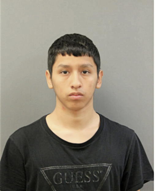 MIGUEL A OCAMPO, Cook County, Illinois