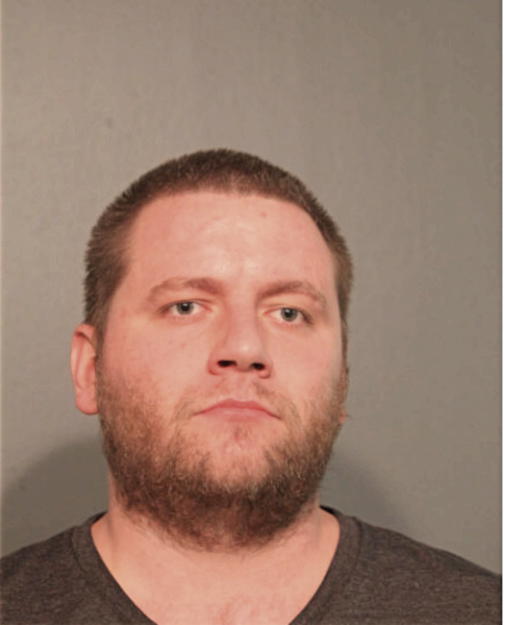 HENRY PRINZ, Cook County, Illinois