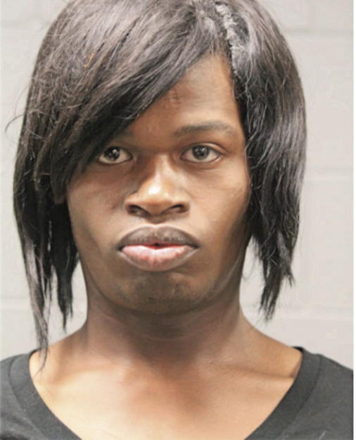 DONNELL D RICHMAND, Cook County, Illinois
