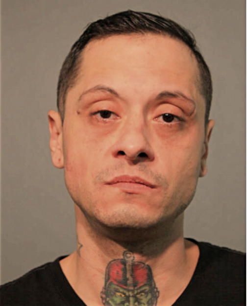 RICARDO M SALINAS, Cook County, Illinois