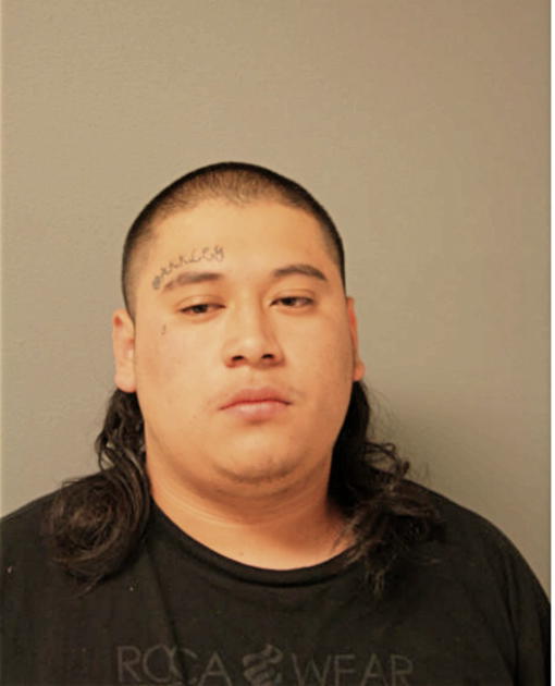 JOEL SANDOVAL, Cook County, Illinois