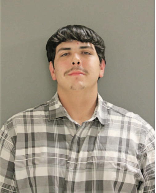 MATTHEW SIMMONS, Cook County, Illinois