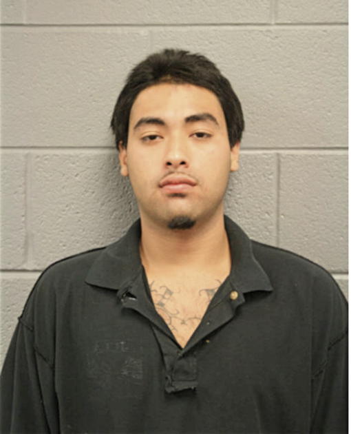 RAFAEL VILLALOBOS, Cook County, Illinois