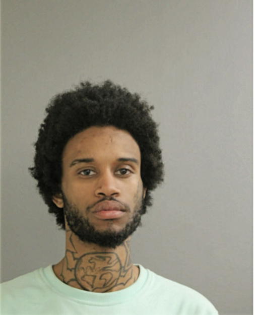 JORDAN L WHITE, Cook County, Illinois