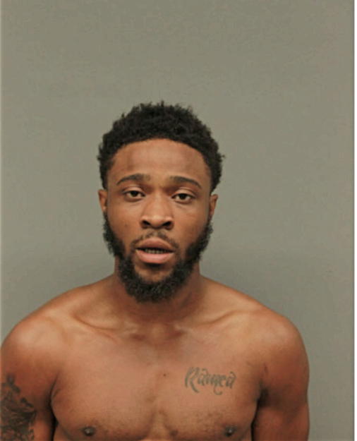 ANTHONY L WILLIAMS, Cook County, Illinois