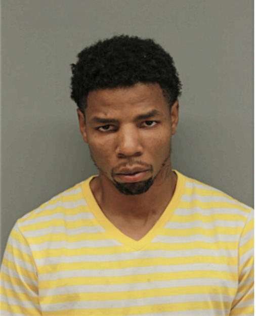 LARRY E ADAMS, Cook County, Illinois