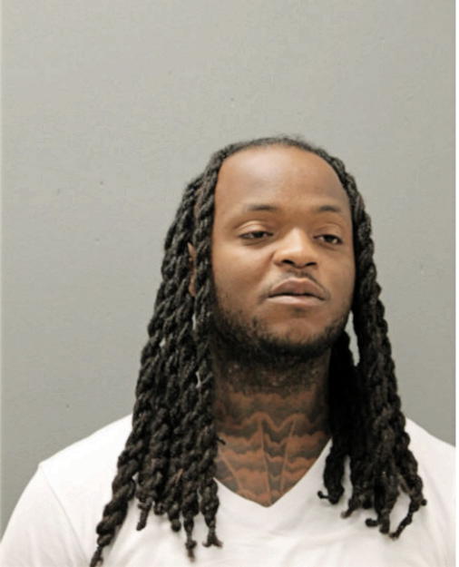 JAVIER L ANDERSON, Cook County, Illinois