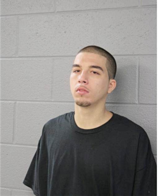 VINCENT M ARIZZI, Cook County, Illinois