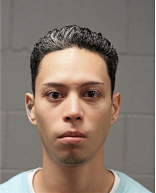 SAMMY A AVALOS, Cook County, Illinois