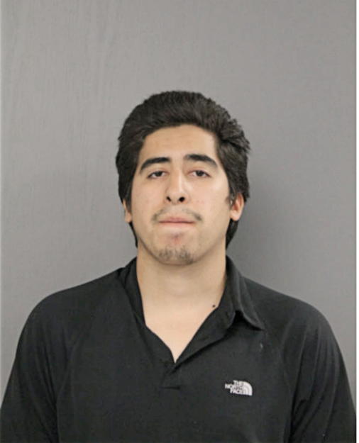 ANTHONY X CACERES, Cook County, Illinois
