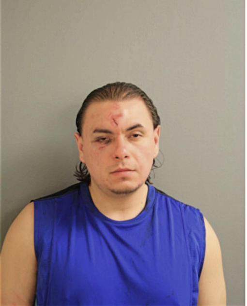 ANTHONY CANELA, Cook County, Illinois