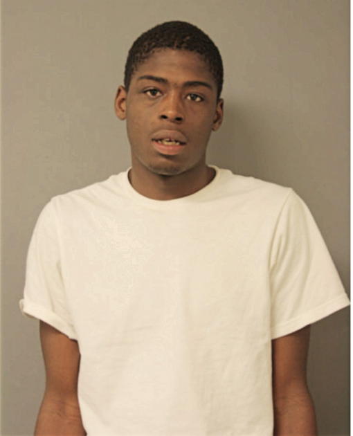 ROBERT P DIXON, Cook County, Illinois