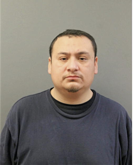 DANIEL MIGUEL DOMINGUEZ, Cook County, Illinois