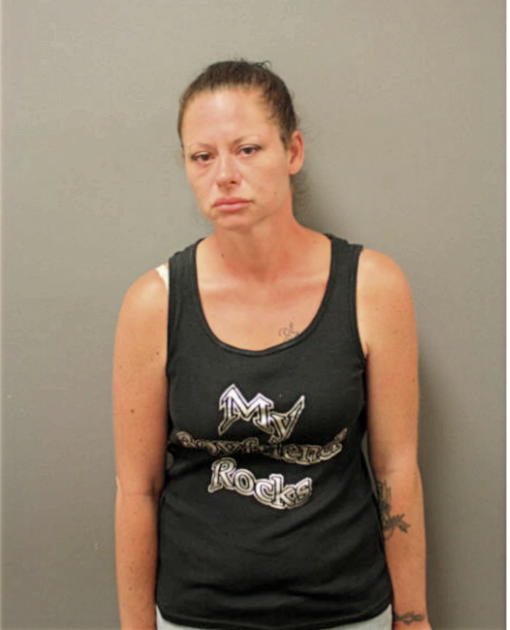 HEATHER N FIELDING, Cook County, Illinois