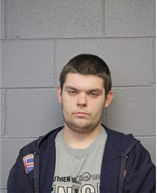 MAXIM GANZENKO, Cook County, Illinois