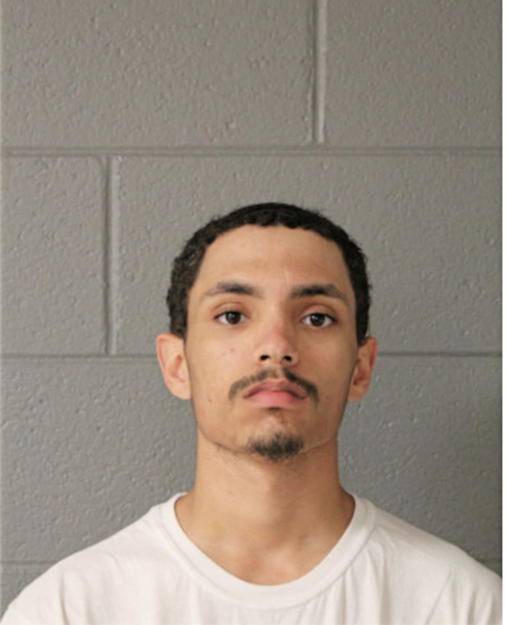 ROBERT M GREEN, Cook County, Illinois