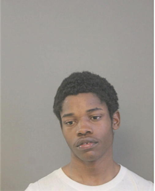 JAMES L JACOBS, Cook County, Illinois