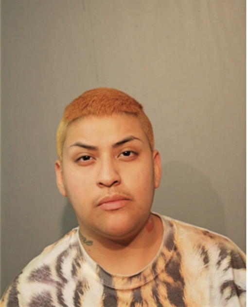 VIANNEY ALEJANDRA JUAREZ-LEON, Cook County, Illinois