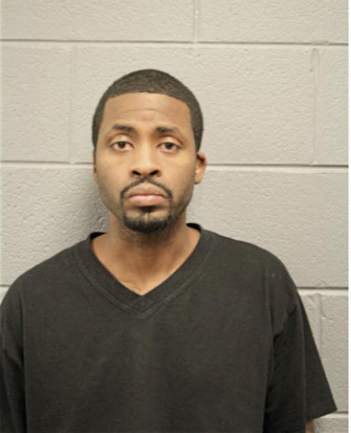 RICKY D LOTT, Cook County, Illinois