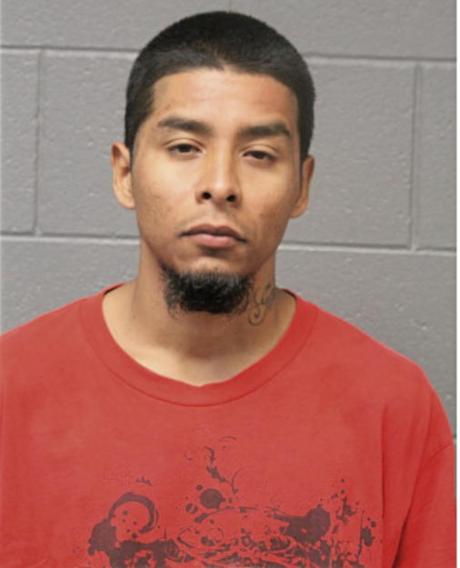 ERICK G LUNA, Cook County, Illinois