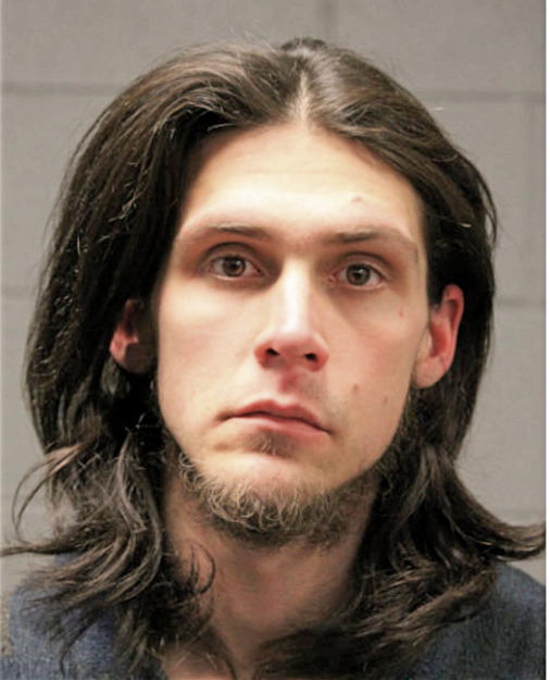 MICHAEL D MCCRAY, Cook County, Illinois