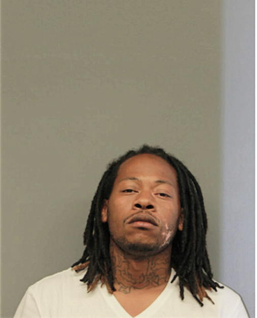 DESMOND R MEADOWS, Cook County, Illinois