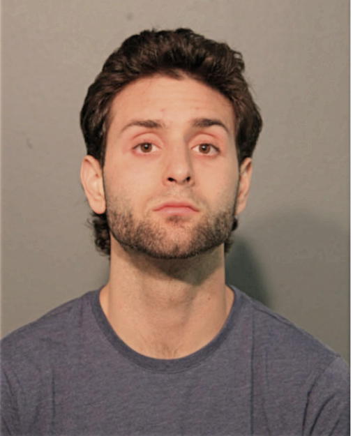 PIERMARIO NI MOLINELLI, Cook County, Illinois