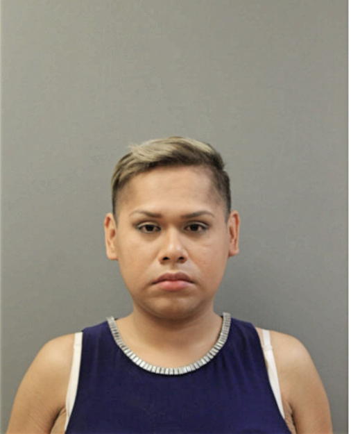 FABIAN MONDRAGON-PABLO, Cook County, Illinois