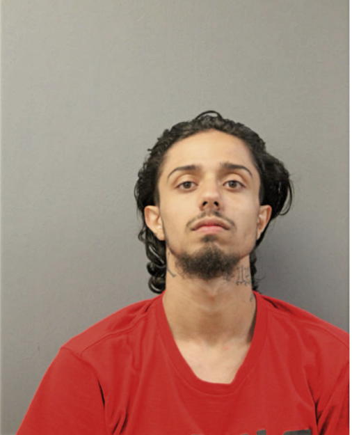 EDIN MUJKOVIC, Cook County, Illinois