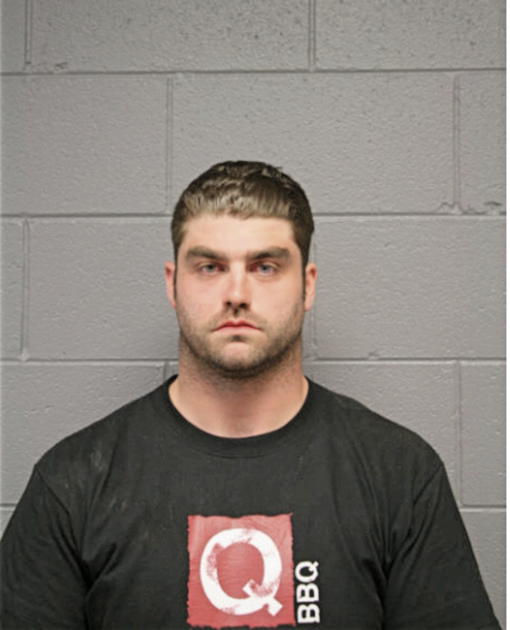 DAVE S RICHARDS, Cook County, Illinois