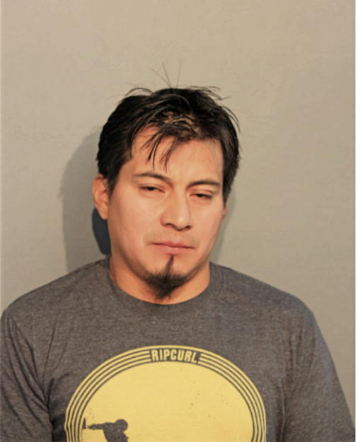 JORGE ALFREDO SALTOS MACAS, Cook County, Illinois