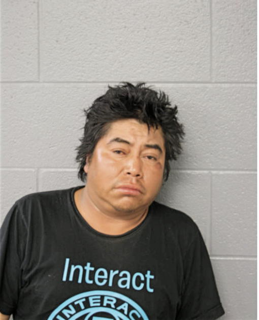 PATRICIO SOLANO, Cook County, Illinois