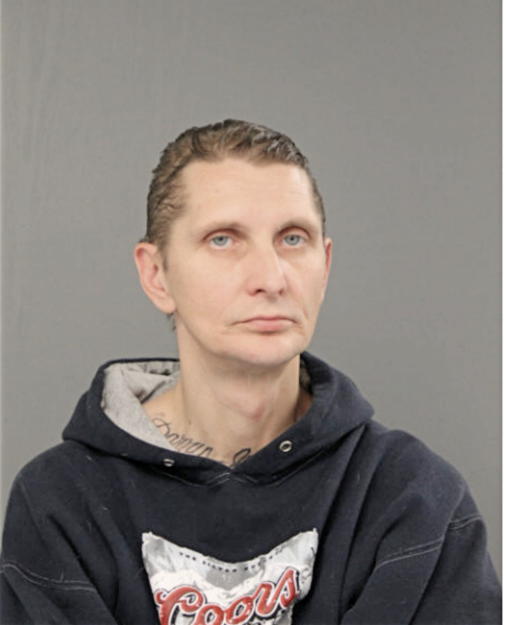 DARRIN J TRINA, Cook County, Illinois