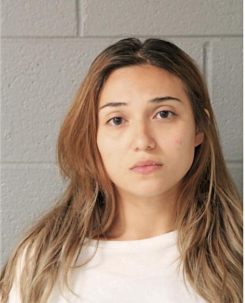 VIVIANA VILLA, Cook County, Illinois