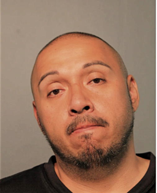 SALVADOR ARTEAGA, Cook County, Illinois