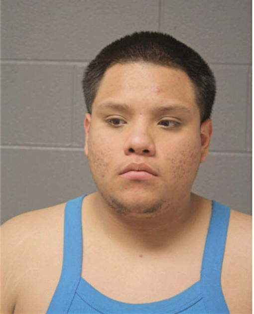 CESAR CONTRERAS, Cook County, Illinois