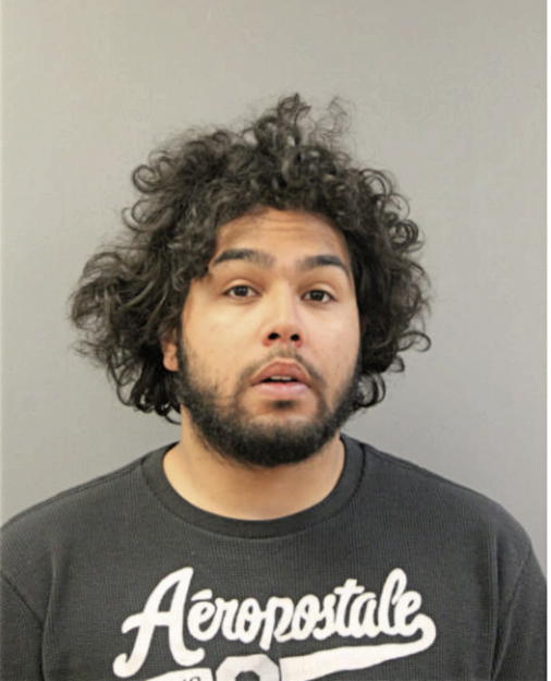 JOSE E CRUZ, Cook County, Illinois