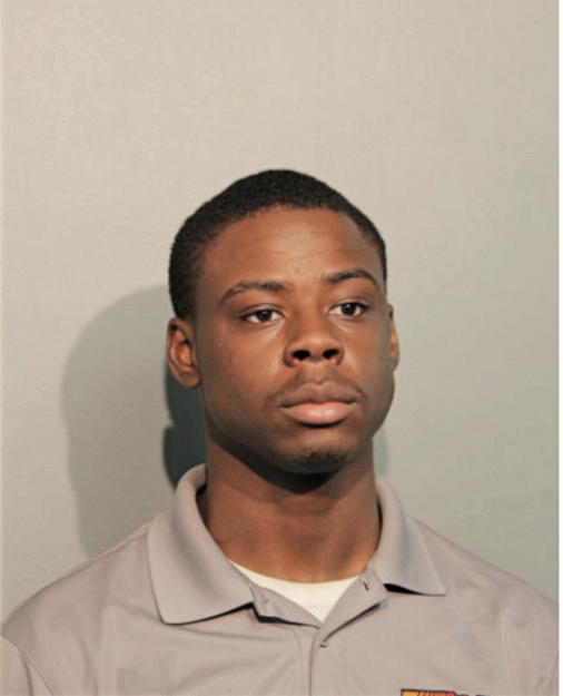 MICHAEL A DAVIS, Cook County, Illinois