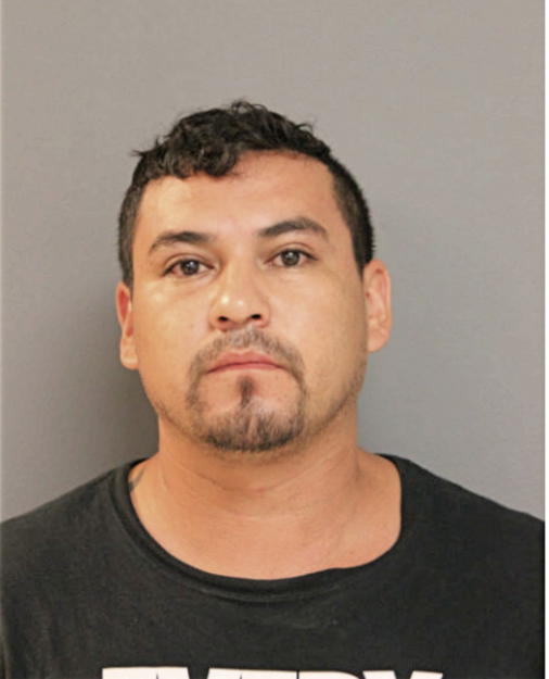 GERARDO FLORES, Cook County, Illinois