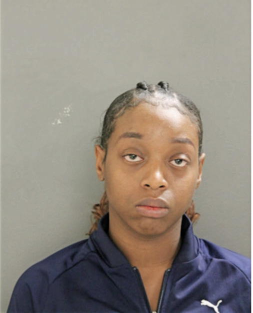 KANESHA L L MCKINNEY, Cook County, Illinois