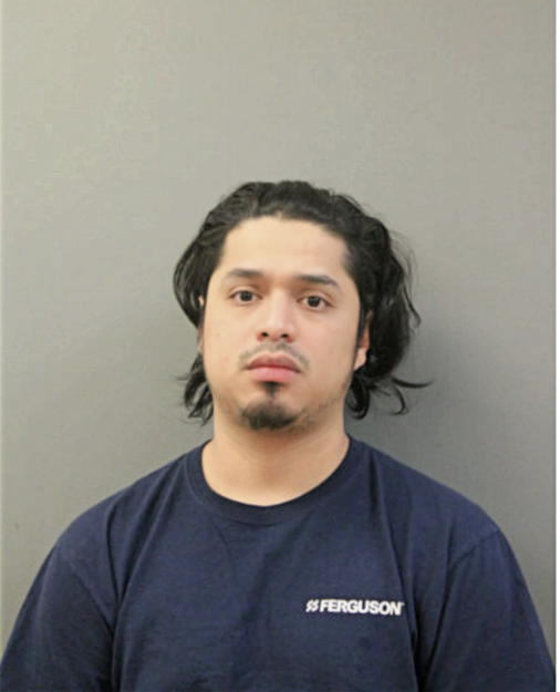 NOE F MORALES, Cook County, Illinois